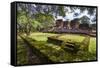 Ruins of Parakramabahu's Royal Palace-Matthew Williams-Ellis-Framed Stretched Canvas