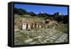 Ruins of Roman City of Sala Colonia Within Necropolis of Chellah, Near Rabat, Morocco-null-Framed Stretched Canvas