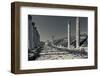 Ruins of Roman-era columns along the Cardo Maximus, Jerash, Jordan-null-Framed Photographic Print