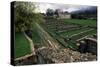 Ruins of Roman Houses, Ancient Roman City of Saepinum, Sepino, Molise, Italy-null-Stretched Canvas