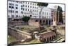 Ruins of Roman Temples at Area Sacra Di Largo Di Torre Argentina, Rome, UNESCO World Heritage Site-Nico Tondini-Mounted Photographic Print