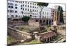 Ruins of Roman Temples at Area Sacra Di Largo Di Torre Argentina, Rome, UNESCO World Heritage Site-Nico Tondini-Mounted Photographic Print