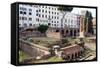 Ruins of Roman Temples at Area Sacra Di Largo Di Torre Argentina, Rome, UNESCO World Heritage Site-Nico Tondini-Framed Stretched Canvas