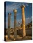 Ruins of Roman Times, Ephesus, Turkey-Darrell Gulin-Stretched Canvas