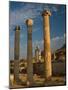 Ruins of Roman Times, Ephesus, Turkey-Darrell Gulin-Mounted Photographic Print