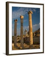 Ruins of Roman Times, Ephesus, Turkey-Darrell Gulin-Framed Photographic Print