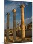 Ruins of Roman Times, Ephesus, Turkey-Darrell Gulin-Mounted Photographic Print