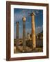 Ruins of Roman Times, Ephesus, Turkey-Darrell Gulin-Framed Photographic Print