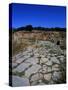 Ruins of Roman Town of Sala Colonia in Necropolis of Chellah, Near Rabat, Morocco-null-Stretched Canvas