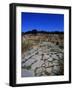 Ruins of Roman Town of Sala Colonia in Necropolis of Chellah, Near Rabat, Morocco-null-Framed Giclee Print