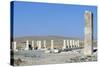 Ruins of Royal Palace of Cyrus Great, Pasargad-null-Stretched Canvas