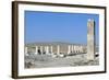 Ruins of Royal Palace of Cyrus Great, Pasargad-null-Framed Photographic Print