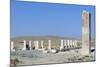 Ruins of Royal Palace of Cyrus Great, Pasargad-null-Mounted Photographic Print