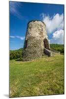 Ruins of Rust Op Twist Sugar Mill plantation, St. Croix, US Virgin Islands.-Michael DeFreitas-Mounted Photographic Print