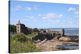 Ruins of St. Andrews Castle-Hofmeester-Stretched Canvas