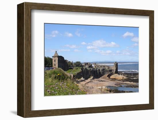 Ruins of St. Andrews Castle-Hofmeester-Framed Photographic Print