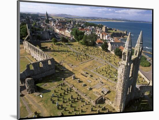 Ruins of St. Andrews Cathedral, Dating from the 14th Century, St. Andrews, Fife, Scotland-Patrick Dieudonne-Mounted Photographic Print