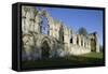 Ruins of St. Mary's Benedictine Abbey-Peter Richardson-Framed Stretched Canvas