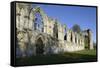 Ruins of St. Mary's Benedictine Abbey-Peter Richardson-Framed Stretched Canvas