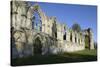 Ruins of St. Mary's Benedictine Abbey-Peter Richardson-Stretched Canvas