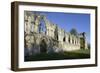 Ruins of St. Mary's Benedictine Abbey-Peter Richardson-Framed Photographic Print