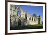 Ruins of St. Mary's Benedictine Abbey-Peter Richardson-Framed Photographic Print