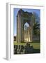 Ruins of St. Mary's Benedictine Abbey-Peter Richardson-Framed Photographic Print