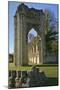 Ruins of St. Mary's Benedictine Abbey-Peter Richardson-Mounted Photographic Print