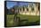 Ruins of St. Mary's Benedictine Abbey-Peter Richardson-Framed Stretched Canvas