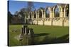 Ruins of St. Mary's Benedictine Abbey-Peter Richardson-Stretched Canvas