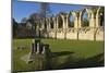Ruins of St. Mary's Benedictine Abbey-Peter Richardson-Mounted Photographic Print