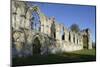 Ruins of St. Mary's Benedictine Abbey-Peter Richardson-Mounted Photographic Print