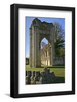 Ruins of St. Mary's Benedictine Abbey-Peter Richardson-Framed Photographic Print