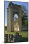 Ruins of St. Mary's Benedictine Abbey-Peter Richardson-Mounted Photographic Print