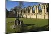 Ruins of St. Mary's Benedictine Abbey-Peter Richardson-Mounted Photographic Print