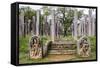 Ruins of Stone Columns at Thuparama Dagoba in the Mahavihara (The Great Monastery)-Matthew Williams-Ellis-Framed Stretched Canvas