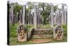 Ruins of Stone Columns at Thuparama Dagoba in the Mahavihara (The Great Monastery)-Matthew Williams-Ellis-Stretched Canvas