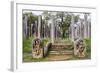 Ruins of Stone Columns at Thuparama Dagoba in the Mahavihara (The Great Monastery)-Matthew Williams-Ellis-Framed Photographic Print