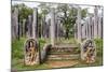 Ruins of Stone Columns at Thuparama Dagoba in the Mahavihara (The Great Monastery)-Matthew Williams-Ellis-Mounted Photographic Print
