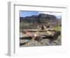 Ruins of Stromness Whaling Station in South Georgia.-Martin Zwick-Framed Photographic Print