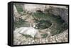 Ruins of Taurine-null-Framed Stretched Canvas