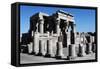 Ruins of Temple of Sobek and Haroeris-null-Framed Stretched Canvas