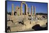 Ruins of Temple of Soleb-null-Framed Stretched Canvas