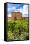 Ruins of the 16th Century El Badii Palace, Marrakech, Morocco-Nico Tondini-Framed Stretched Canvas