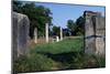 Ruins of the Agora, Thassos Island, Greece, 5th-4th Century BC-null-Mounted Giclee Print