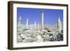 Ruins of the Ancient City of Pella, Jordan-Vivienne Sharp-Framed Photographic Print