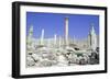 Ruins of the Ancient City of Pella, Jordan-Vivienne Sharp-Framed Photographic Print