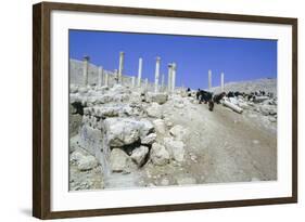 Ruins of the Ancient City of Pella, Jordan-Vivienne Sharp-Framed Photographic Print