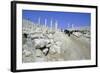 Ruins of the Ancient City of Pella, Jordan-Vivienne Sharp-Framed Photographic Print