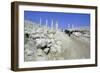 Ruins of the Ancient City of Pella, Jordan-Vivienne Sharp-Framed Photographic Print